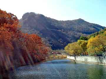 新澳天天开奖资料大全旅游团，四氯化硅运输